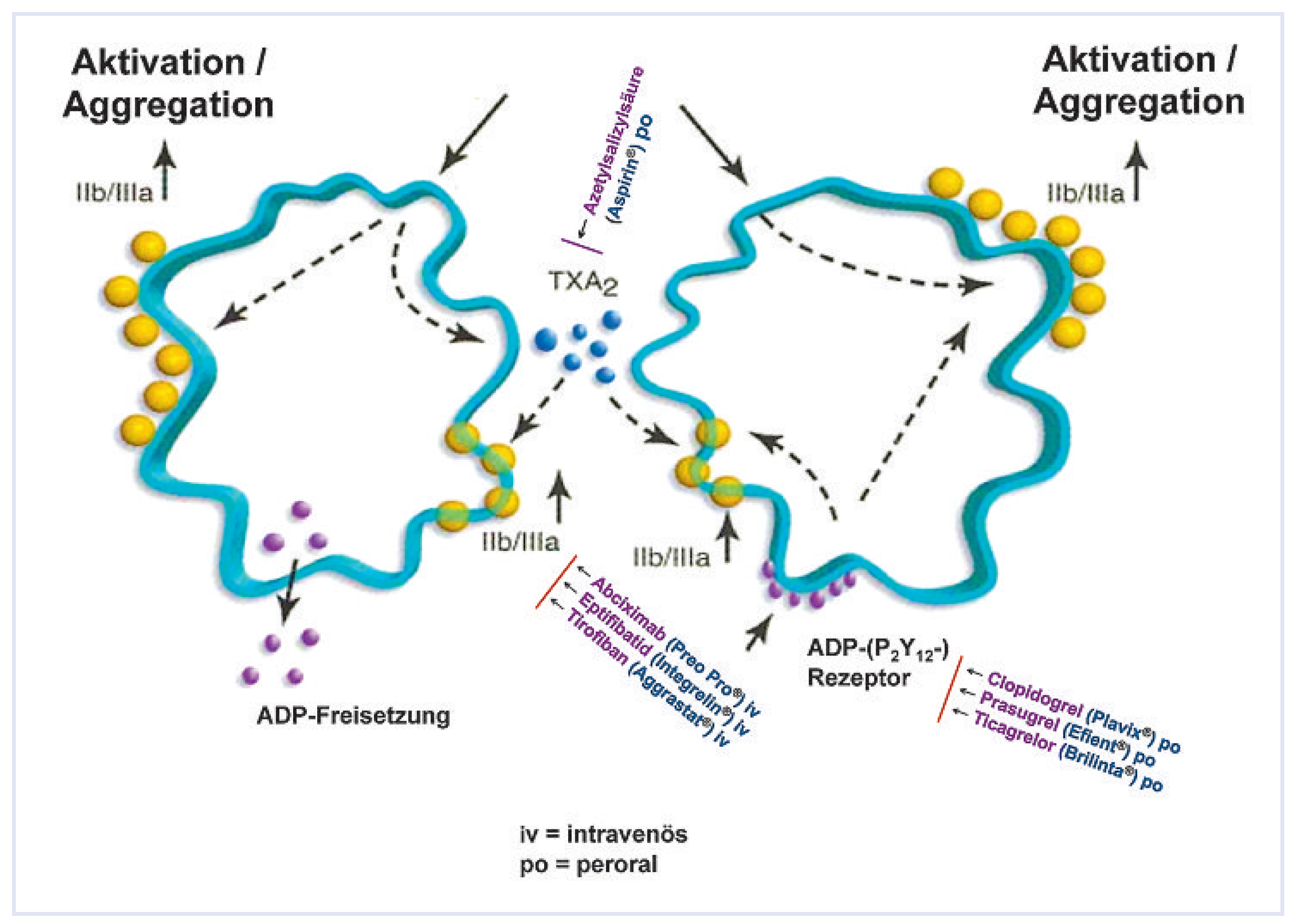Cardiovascmed 13 00060 g002 Cardiovascmed 13 00060 g002