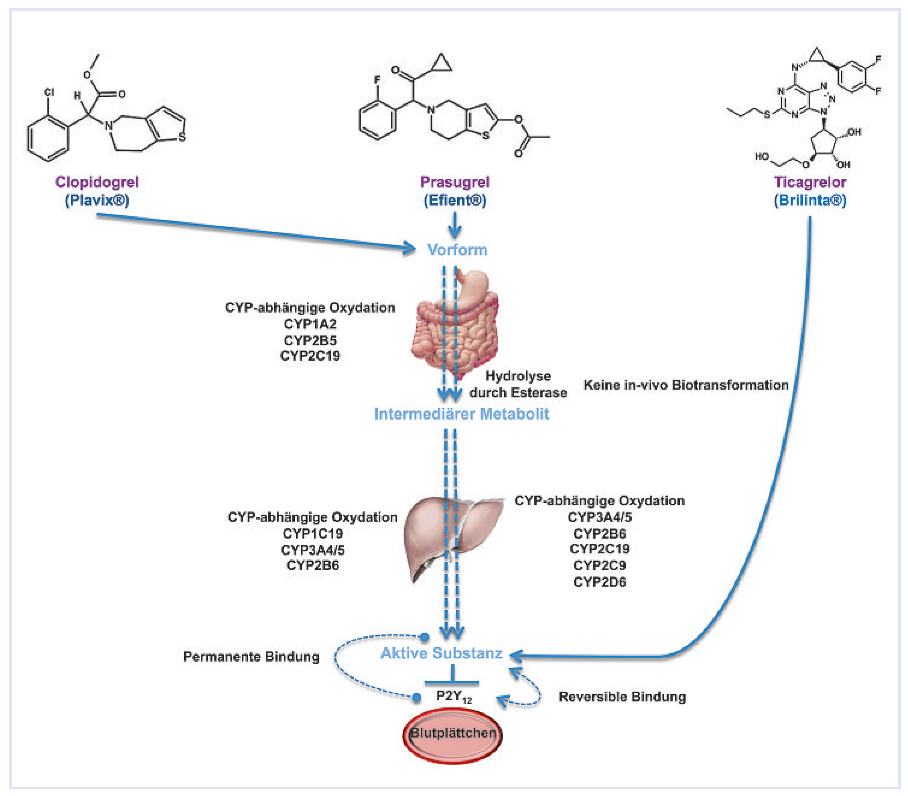 Cardiovascmed 13 00060 g003 Cardiovascmed 13 00060 g003