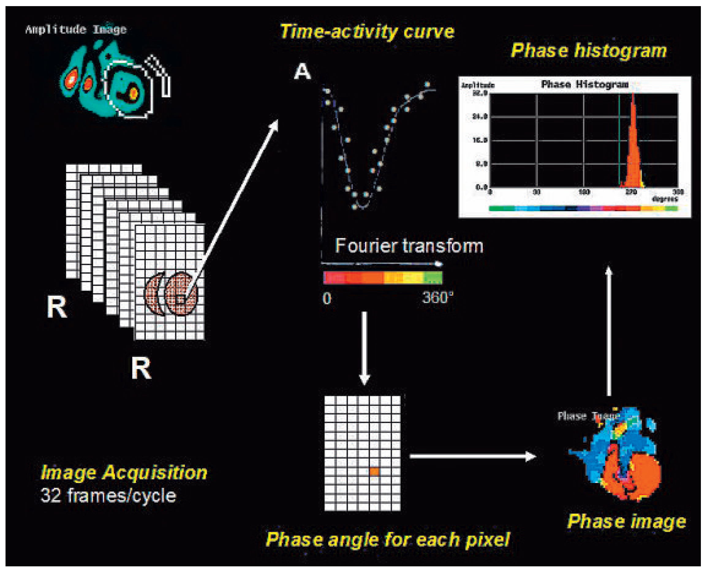 Cardiovascmed 13 00115 g001