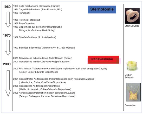 Cardiovascmed 13 00197 g002