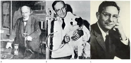 Cardiovascmed 13 00321 g004