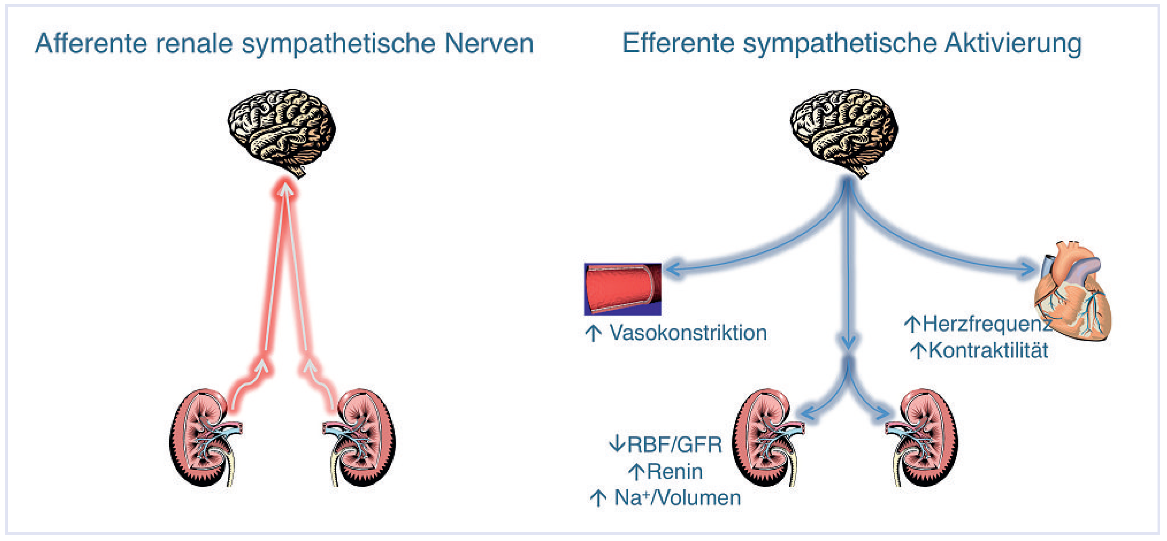 Cardiovascmed 13 00321 g005
