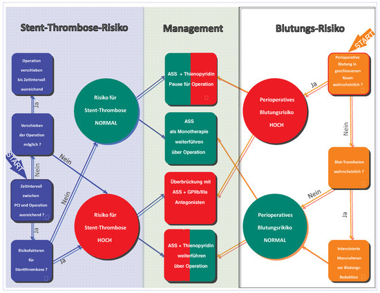 Cardiovascmed 13 00363 g001