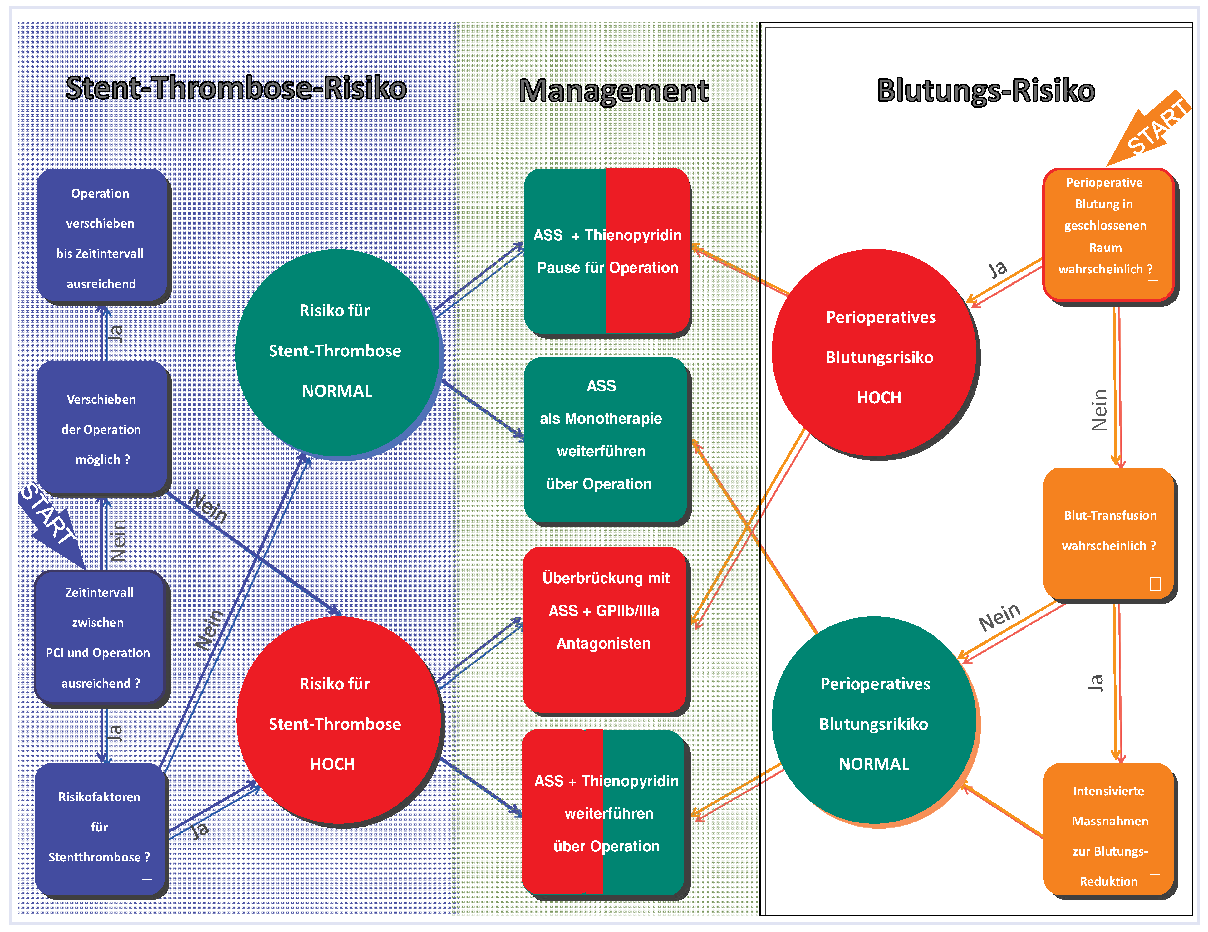 Cardiovascmed 13 00363 g001