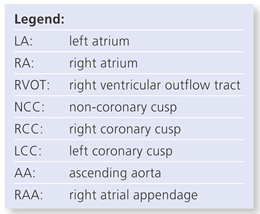 Cardiovascmed 14 00192 i001 Cardiovascmed 14 00192 i001