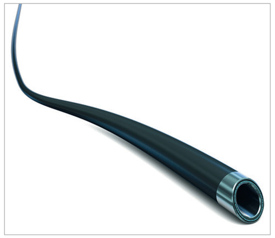 Cardiovascmed 14 00213 g005