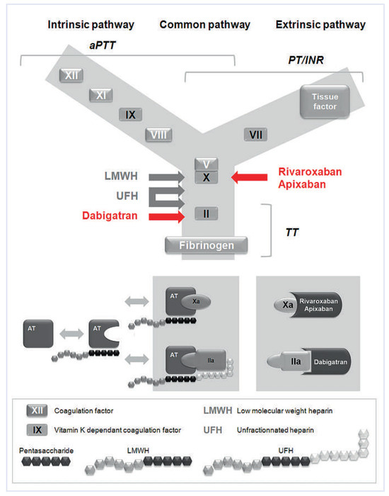 Cardiovascmed 15 00170 g001