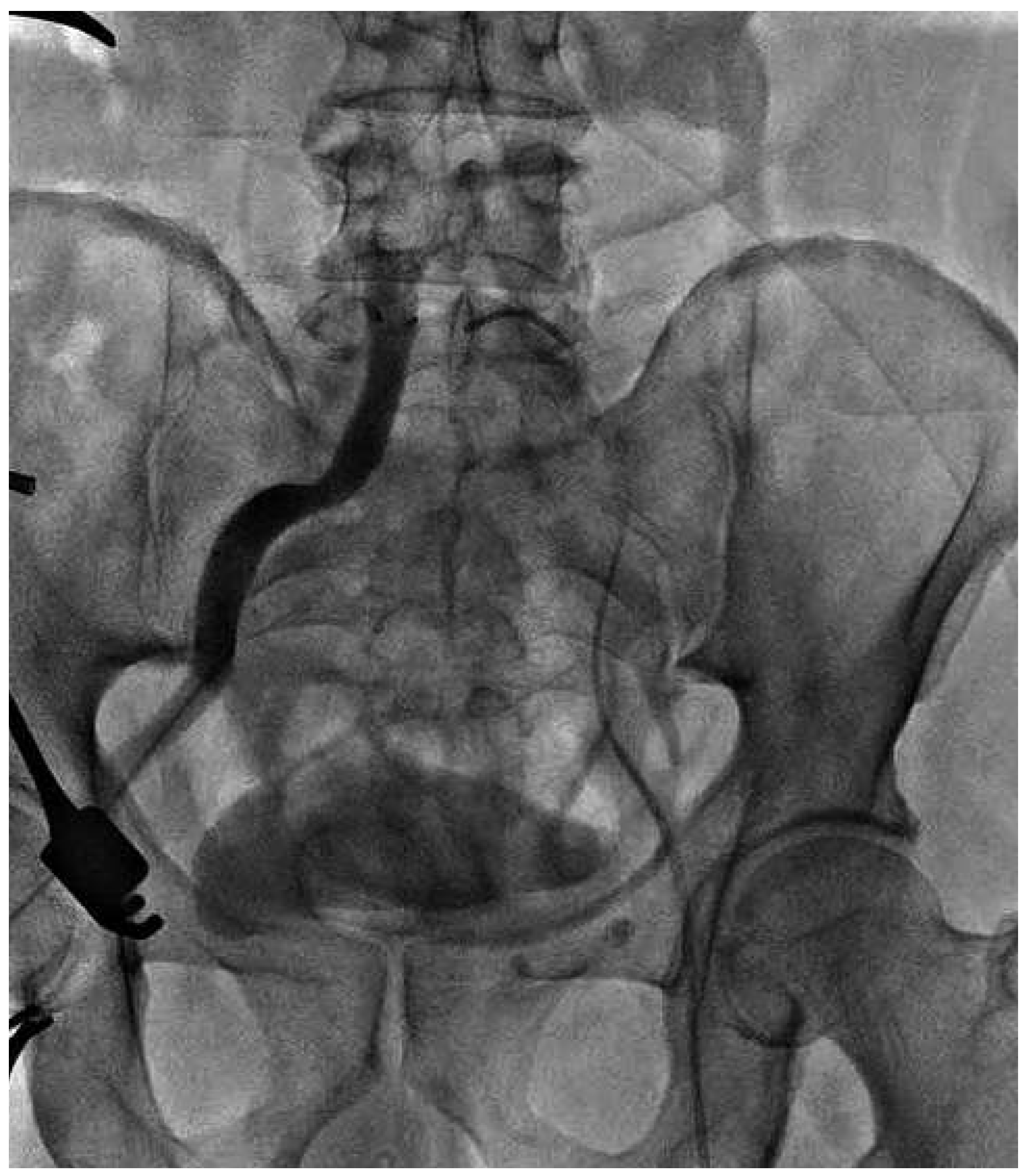 Cardiovascmed 16 00267 g003