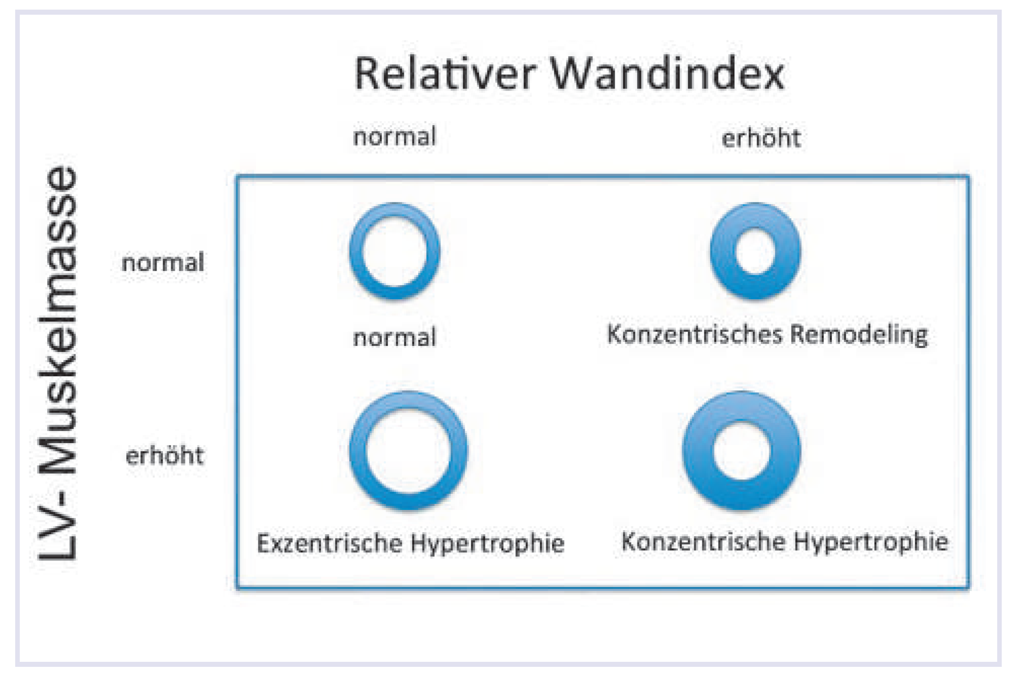 Cardiovascmed 17 00037 g001
