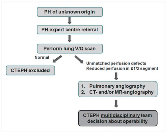 Cardiovascmed 17 00328 g001