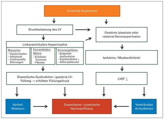 Cardiovascmed 18 00312 g001