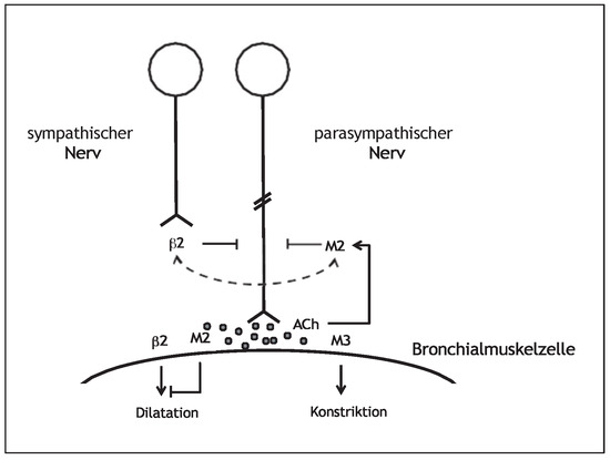 Cardiovascmed 19 00256 g001