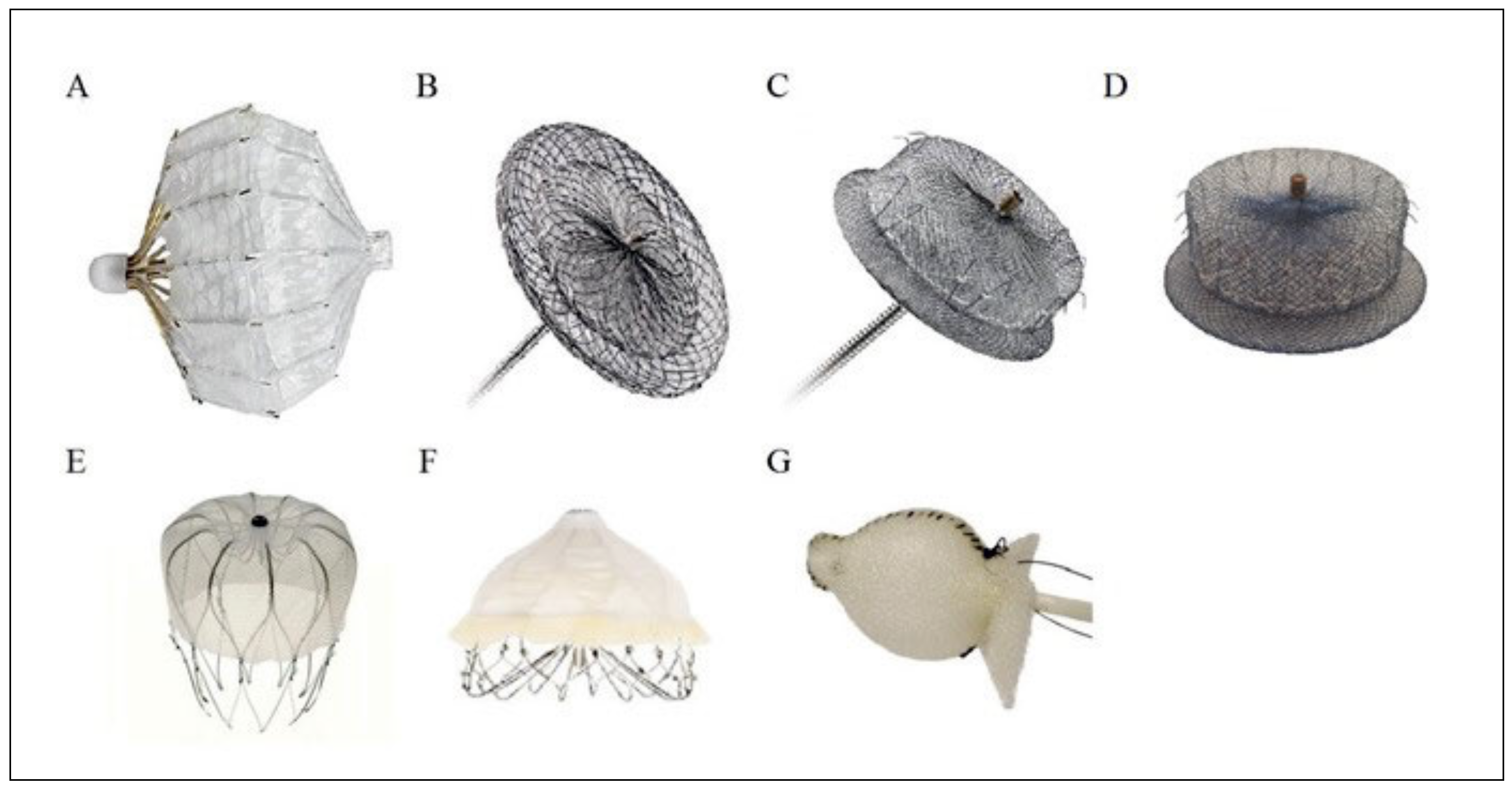 Cardiovascmed 19 00288 g001