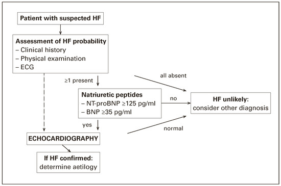 Cardiovascmed 20 00062 g001