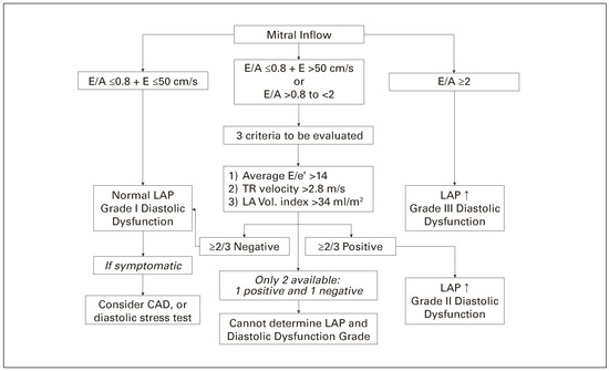 Cardiovascmed 20 00062 g003