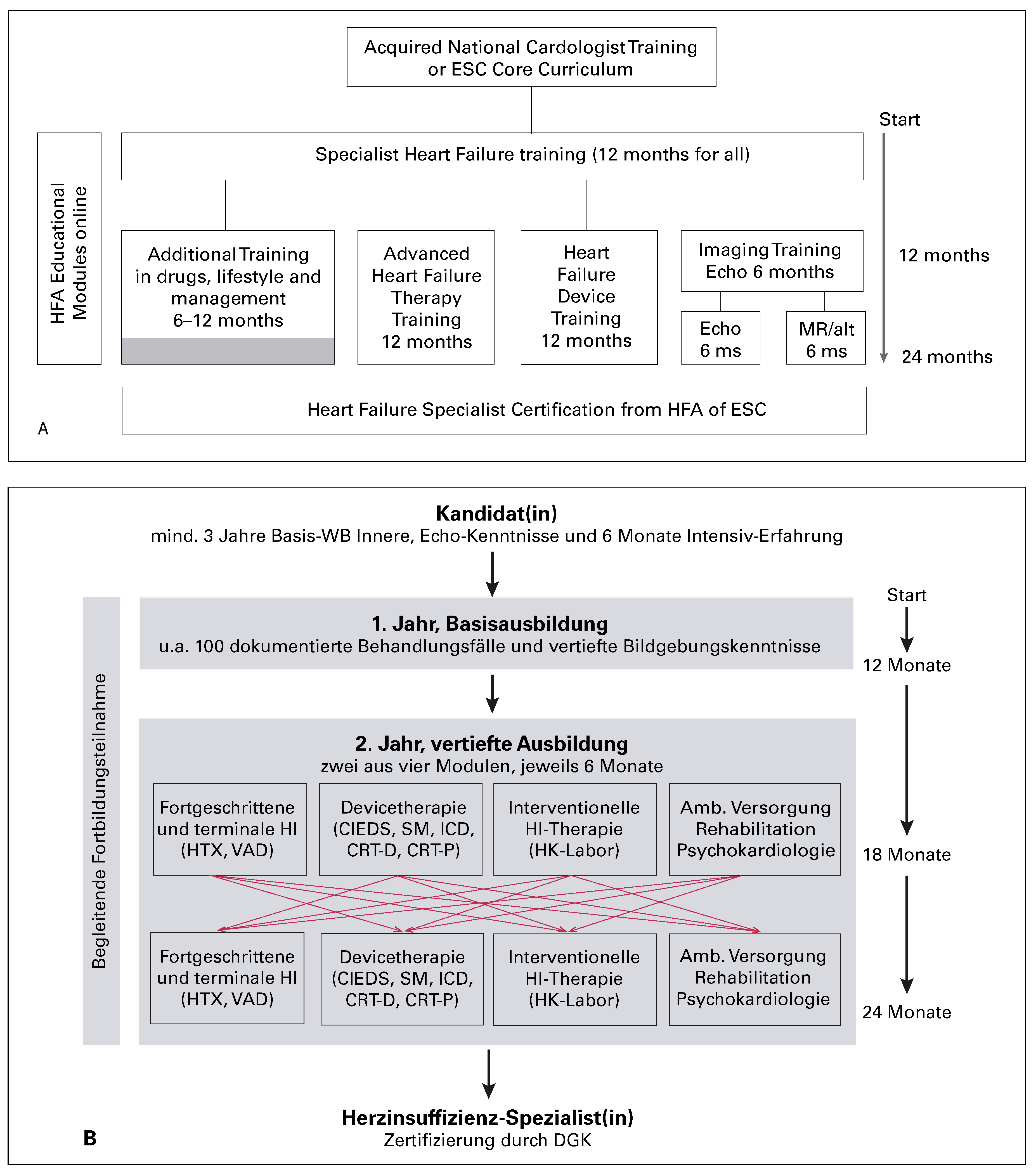 Cardiovascmed 21 00026 g001 Cardiovascmed 21 00026 g001