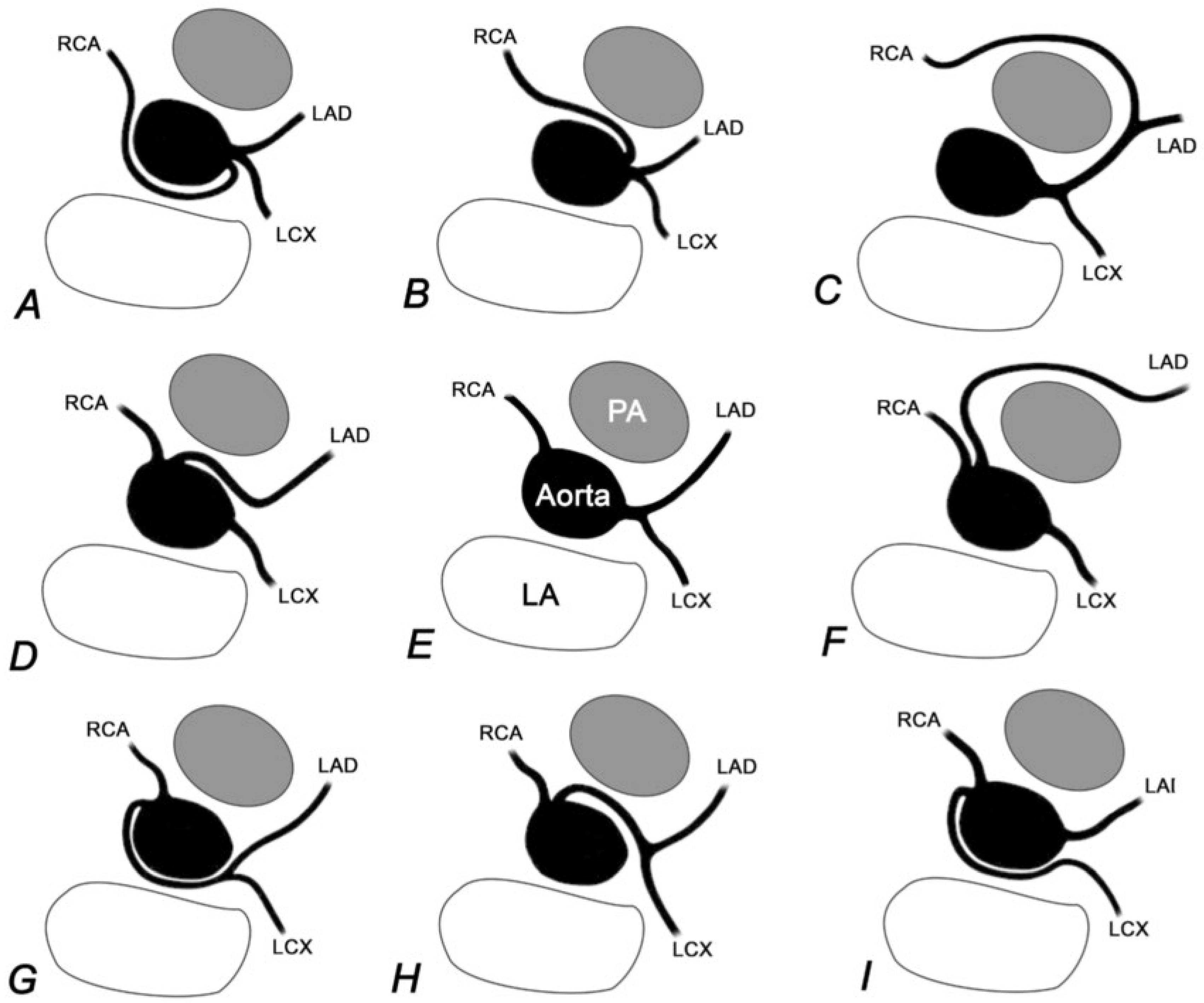 Cardiovascmed 21 00039 g001