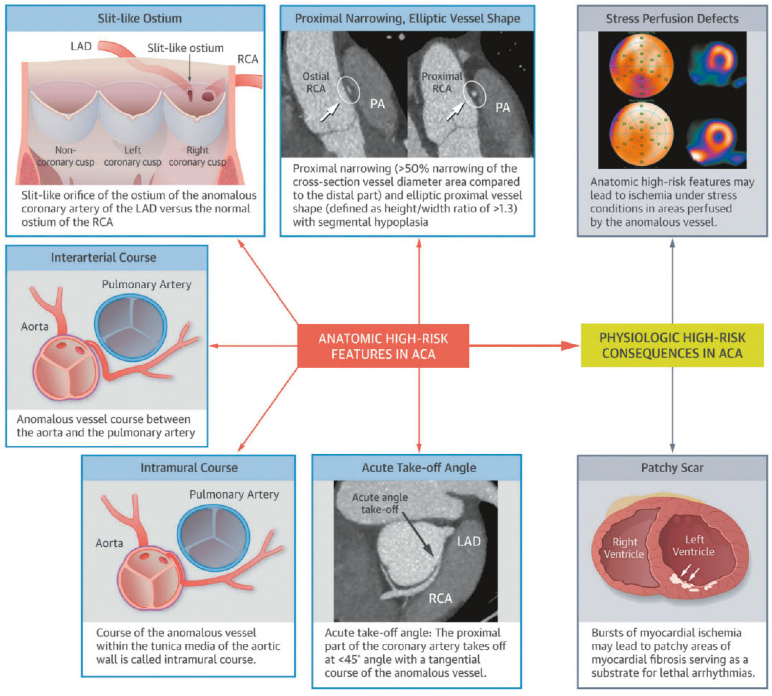 Cardiovascmed 21 00039 g003