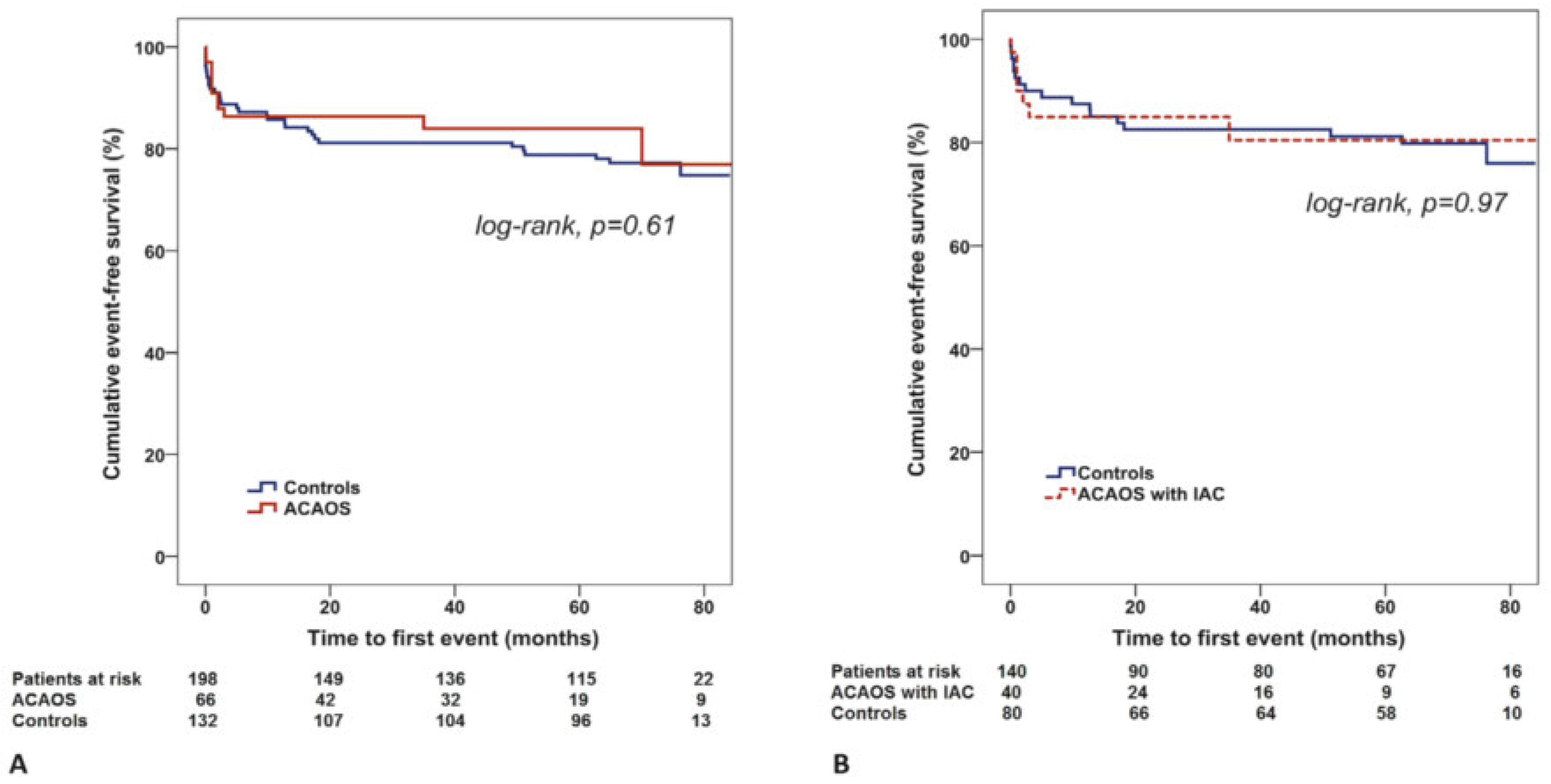 Cardiovascmed 21 00039 g004