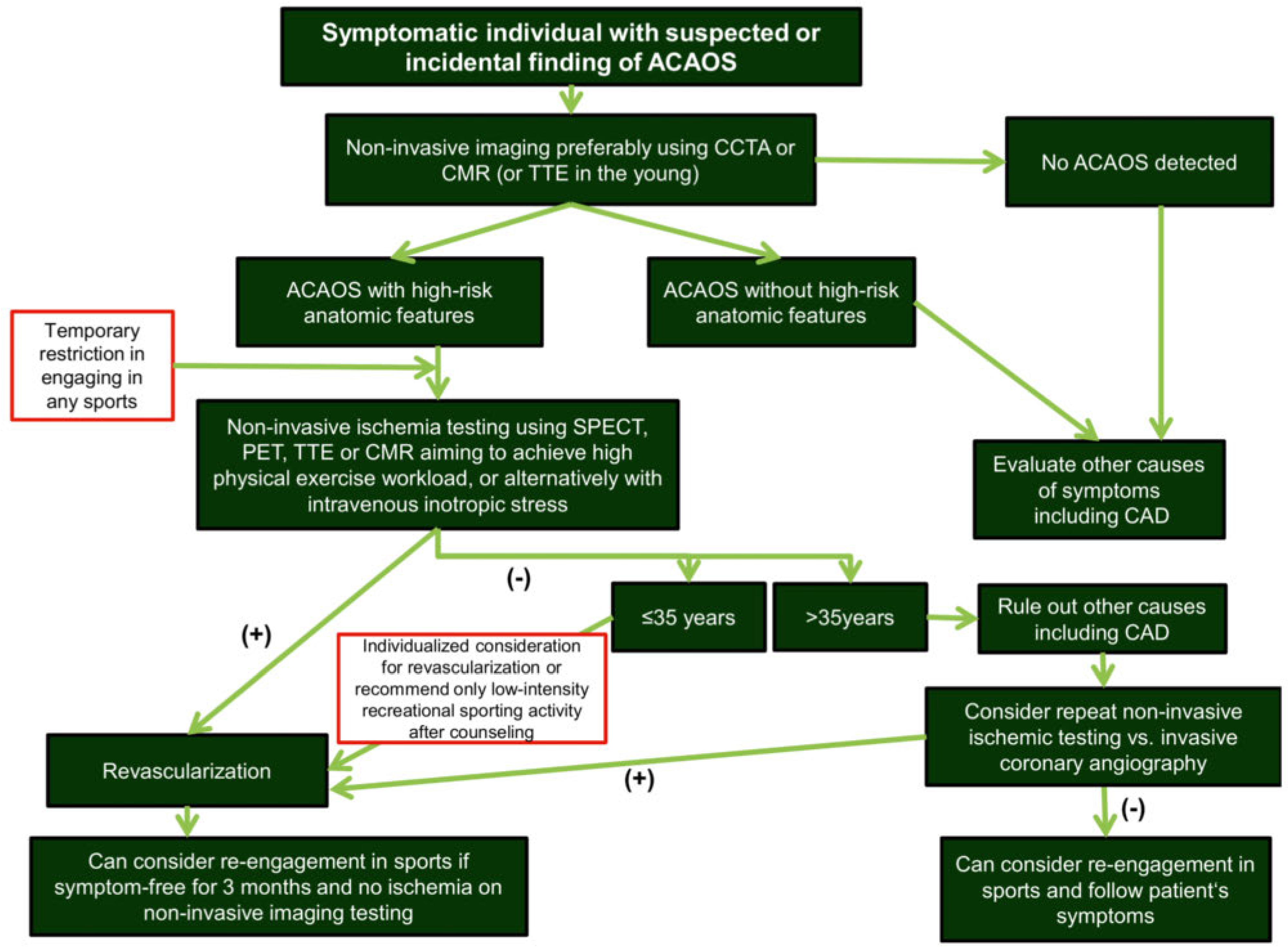 Cardiovascmed 21 00039 g006