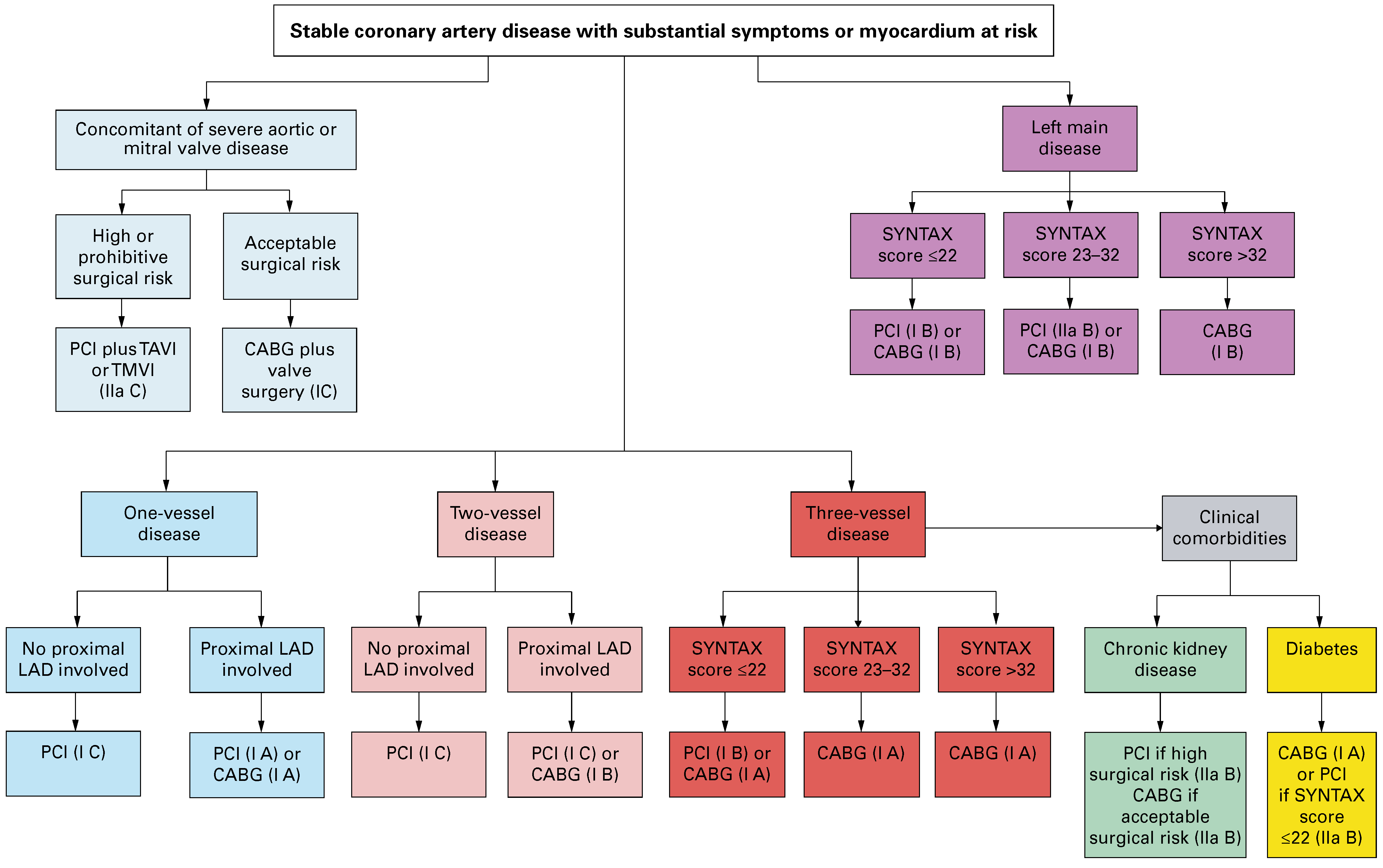 Cardiovascmed 21 00061 g001