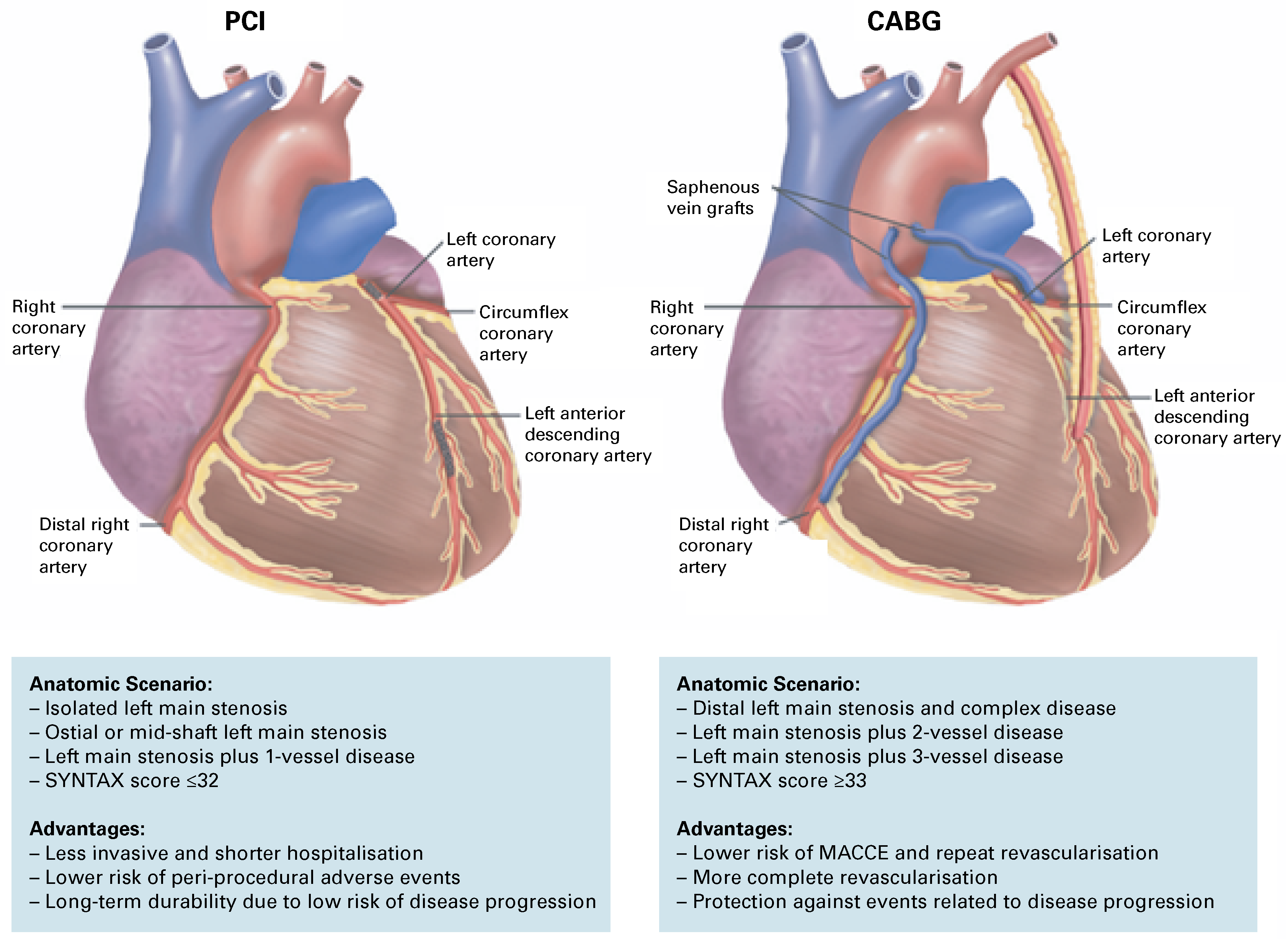 Cardiovascmed 21 00061 g002