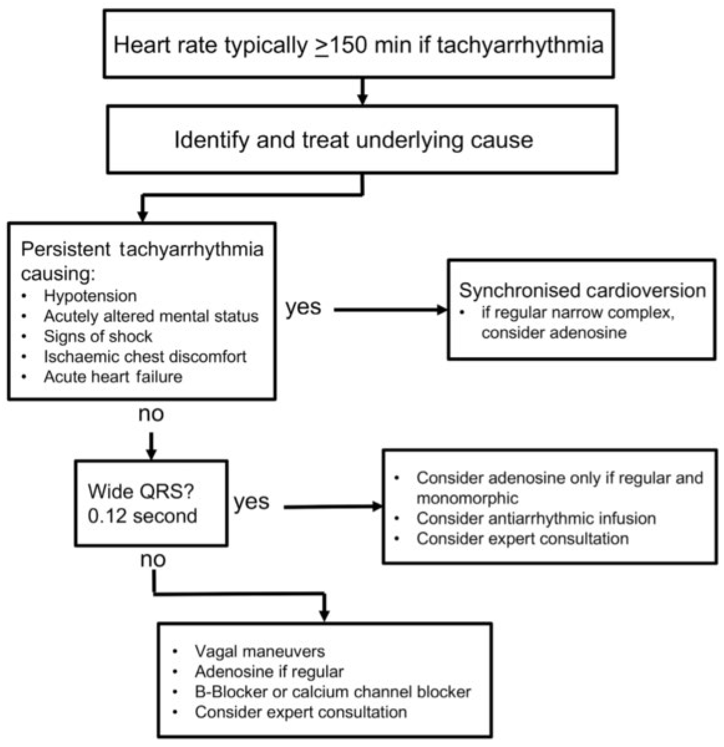 Cardiovascmed 21 00090 g004