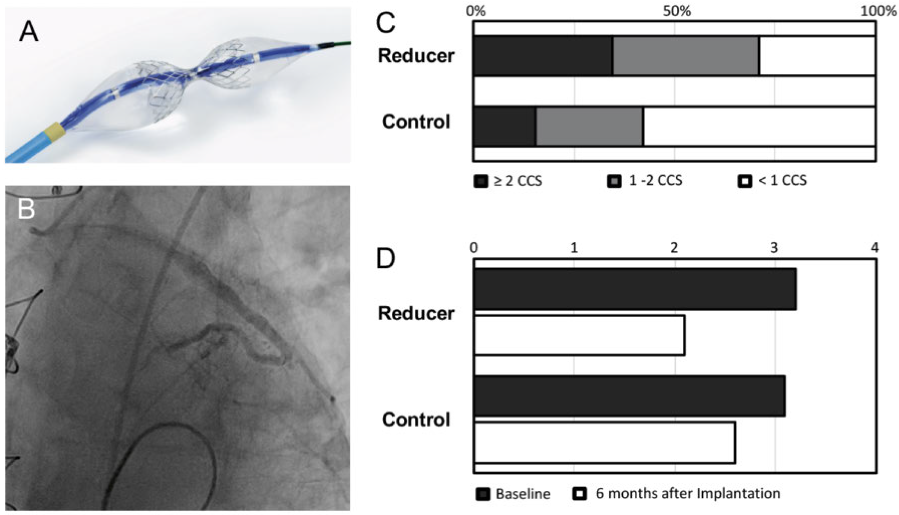 Cardiovascmed 21 00105 g001