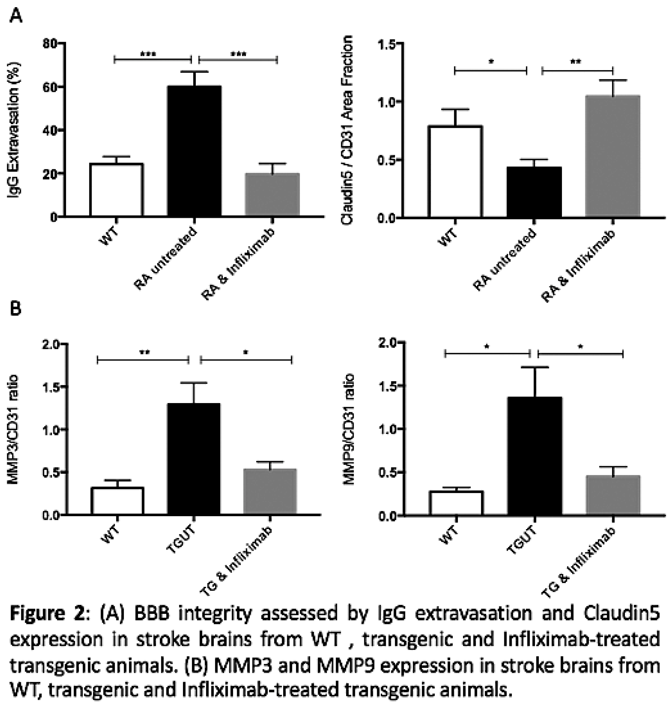 Cardiovascmed 21 00111 i019 Cardiovascmed 21 00111 i019