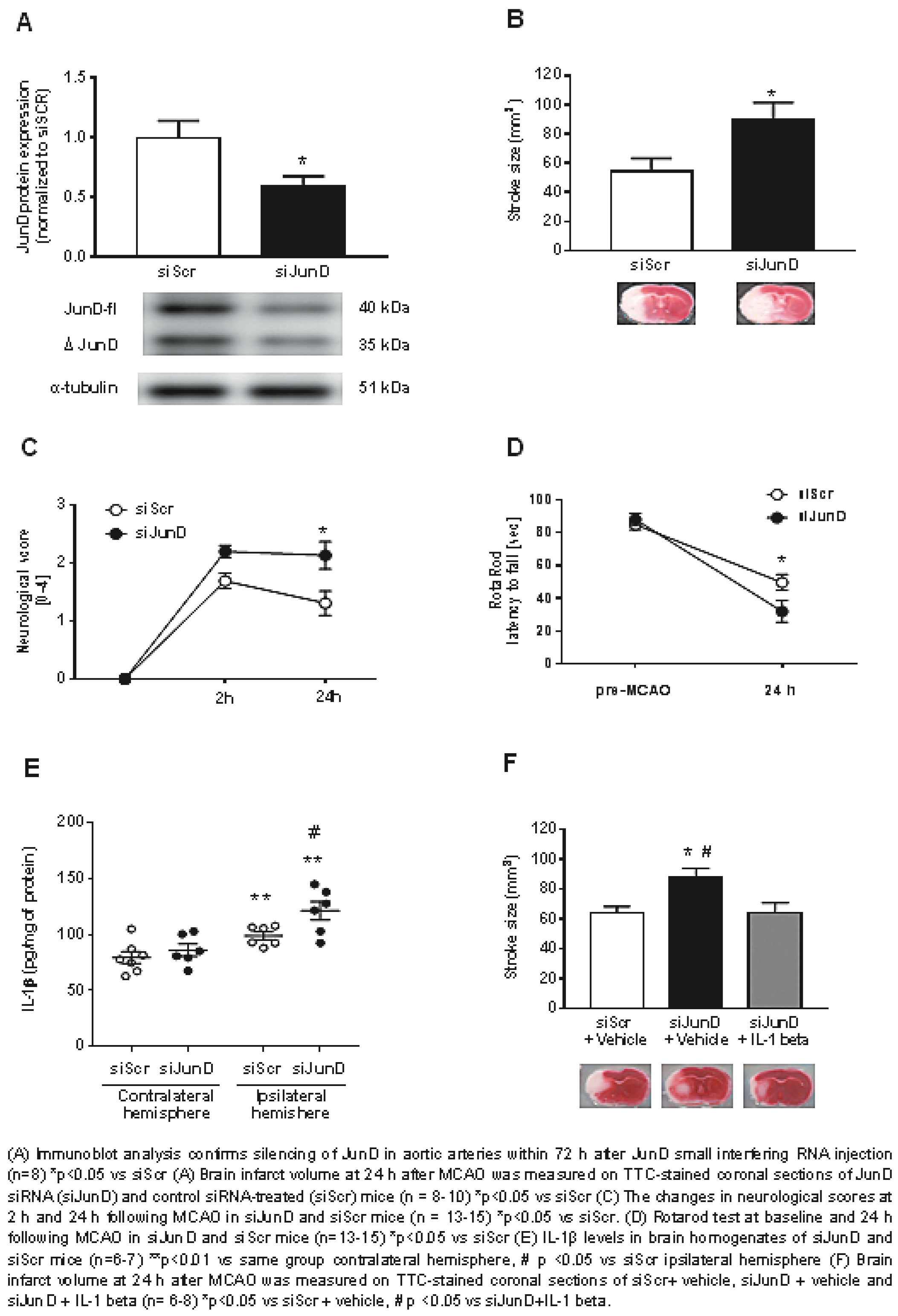 Cardiovascmed 21 00111 i020 Cardiovascmed 21 00111 i020