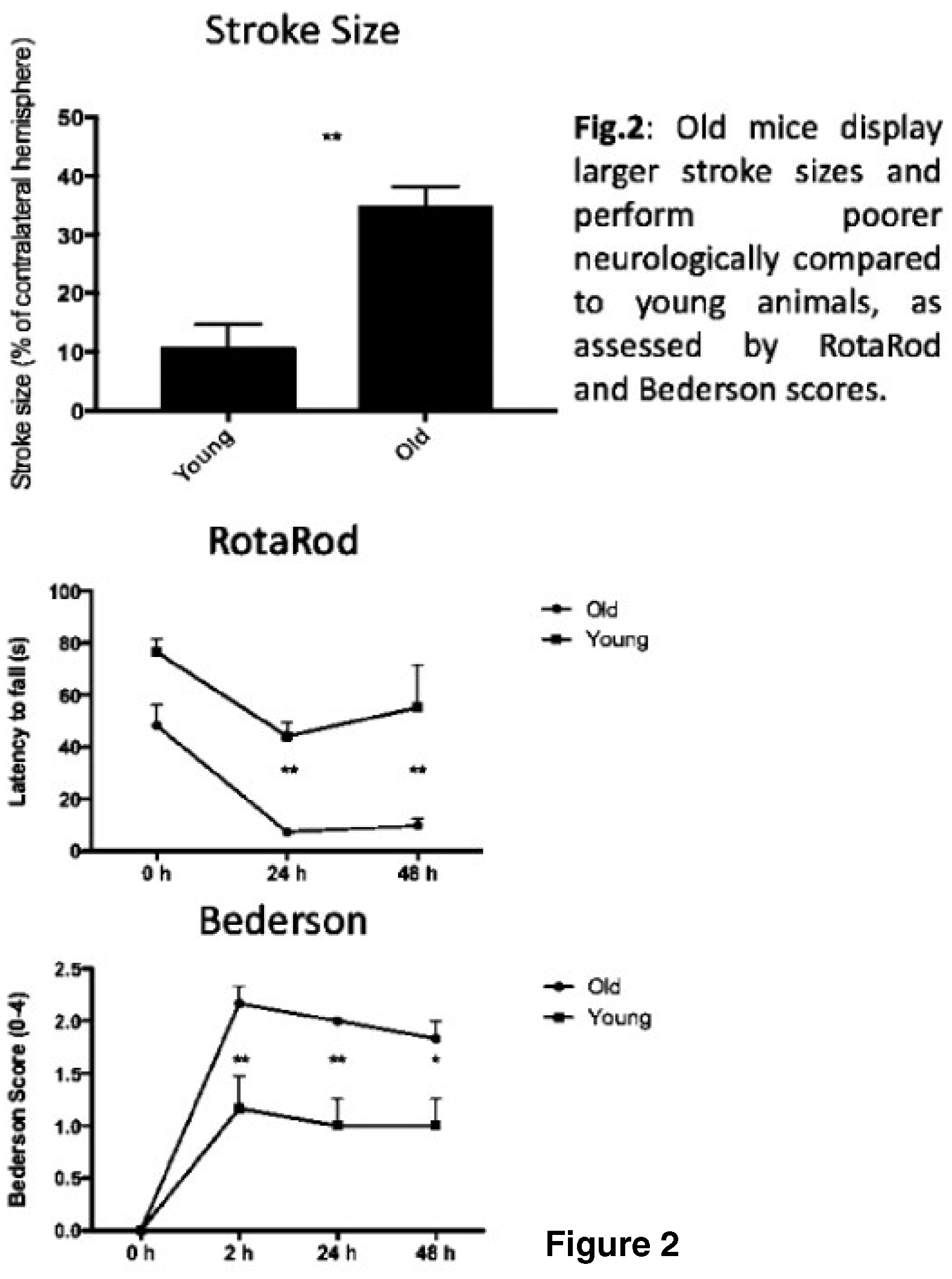 Cardiovascmed 21 00111 i024 Cardiovascmed 21 00111 i024