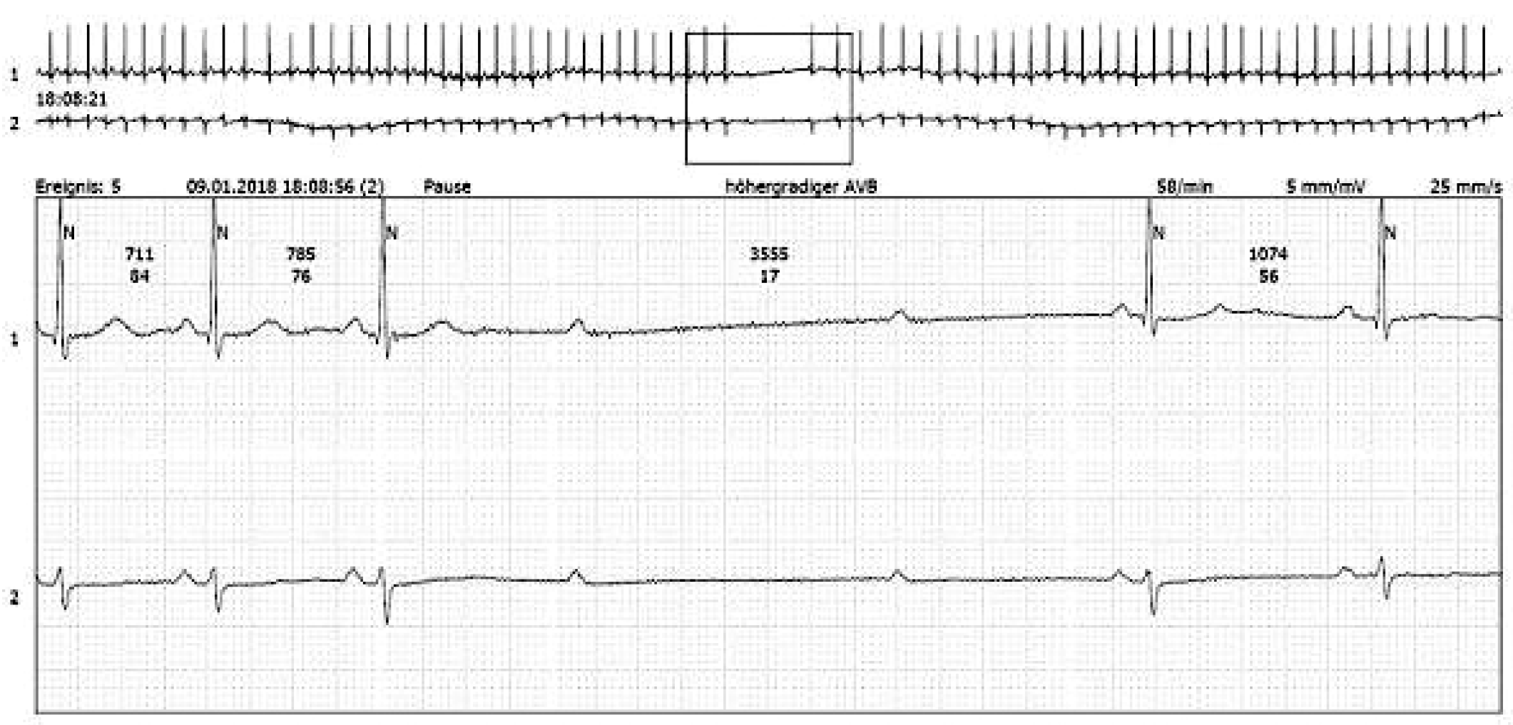 Cardiovascmed 21 00111 i026 Cardiovascmed 21 00111 i026