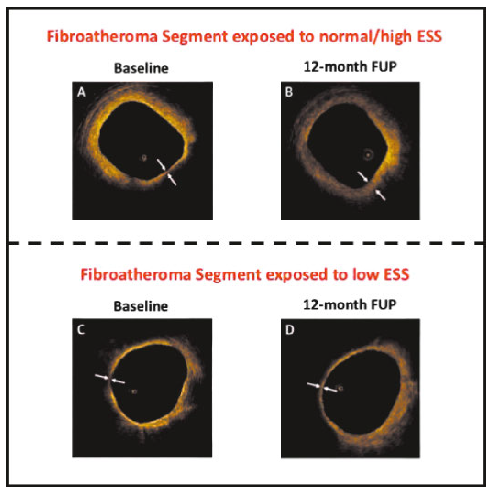 Cardiovascmed 21 00111 i032 Cardiovascmed 21 00111 i032