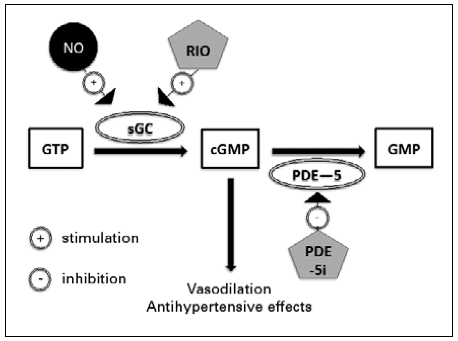 Cardiovascmed 21 00195 g001 Cardiovascmed 21 00195 g001