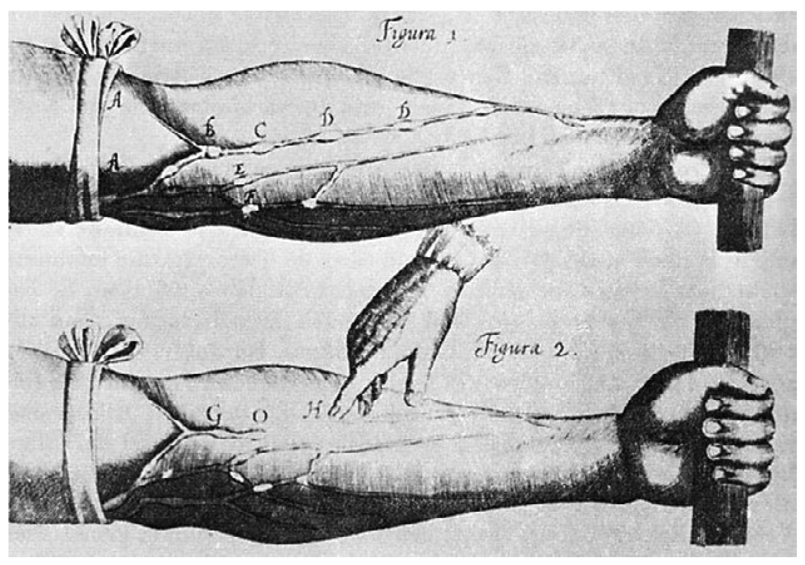 Cardiovascmed 21 00241 g002