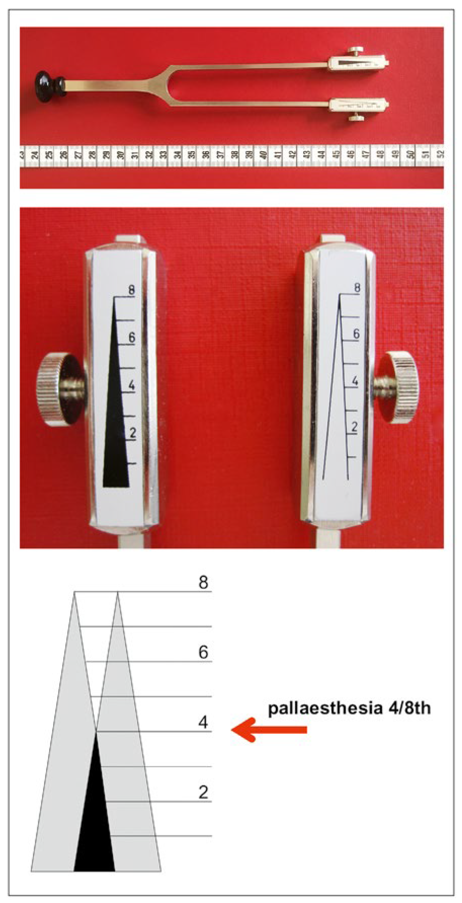Cardiovascmed 21 00245 g001