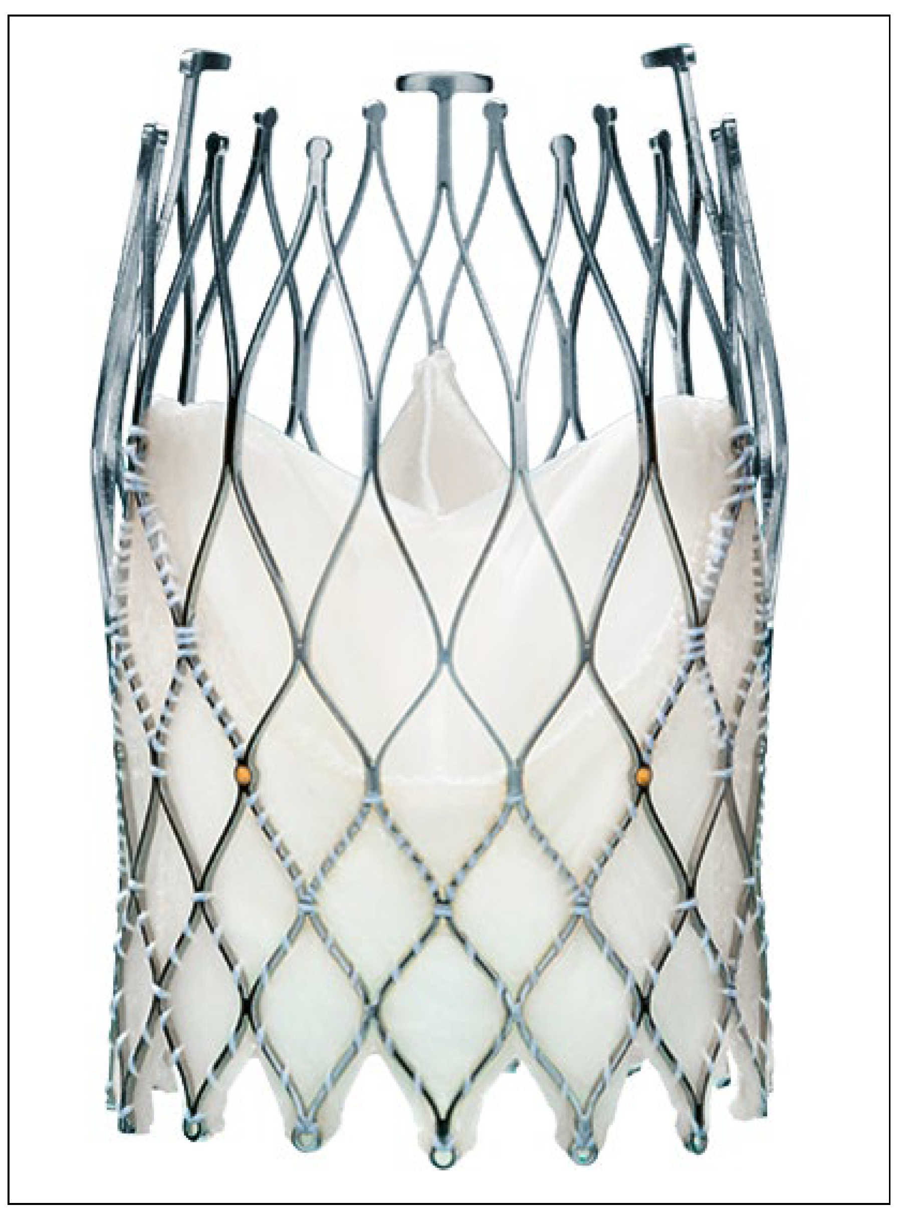 Cardiovascmed 21 00262 g002