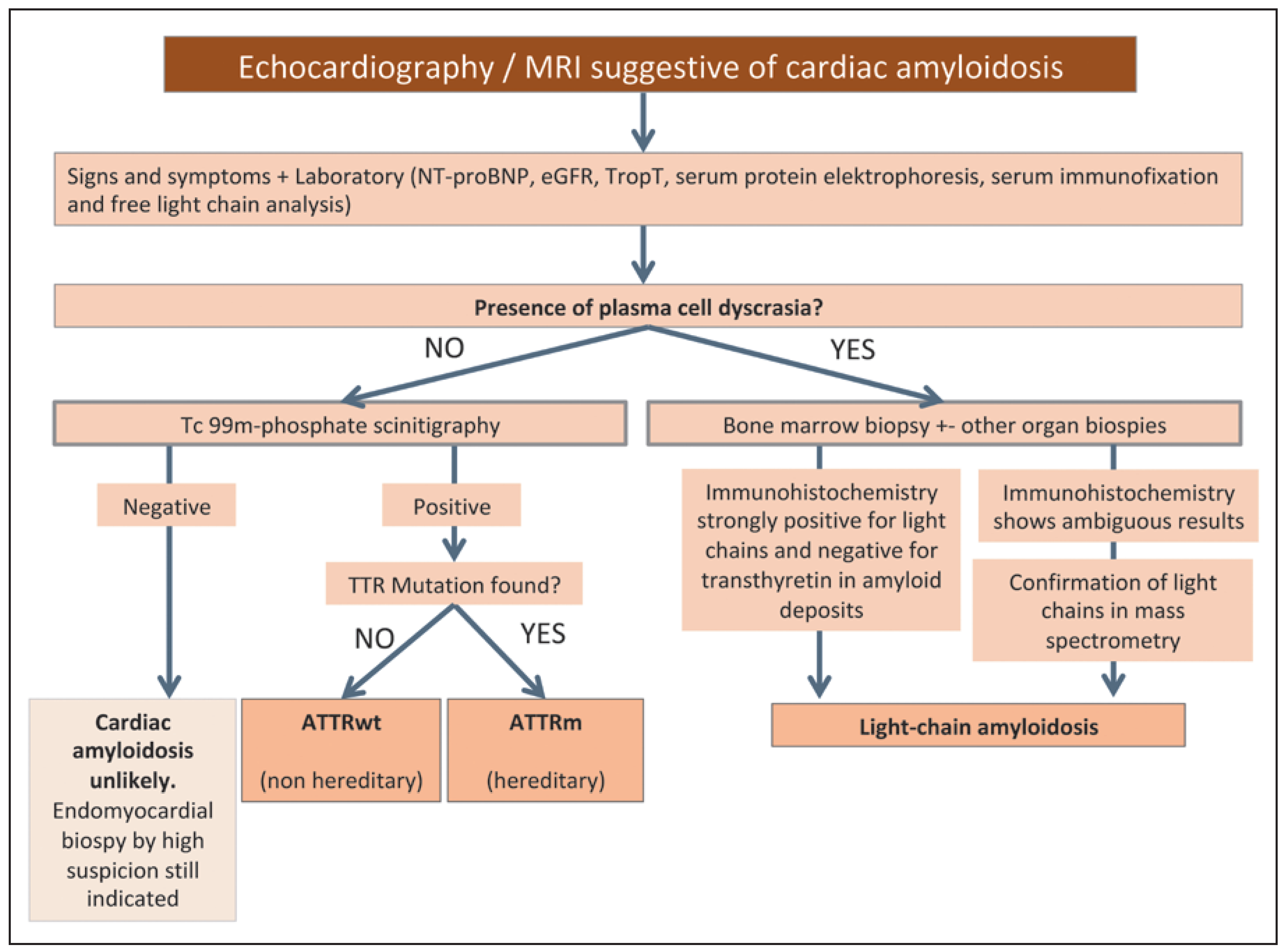 Cardiovascmed 21 00282 g006