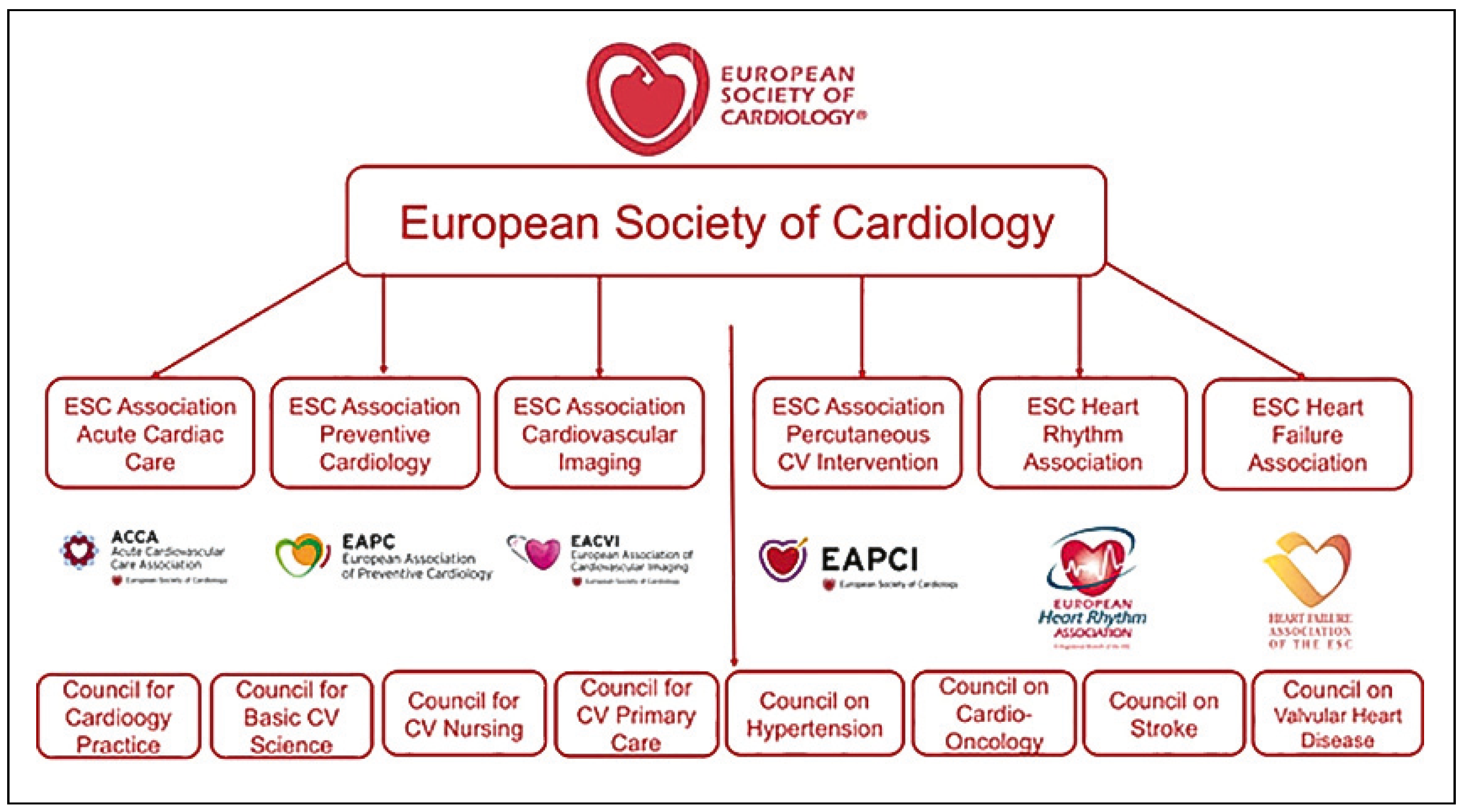 Cardiovascmed 21 00303 g003