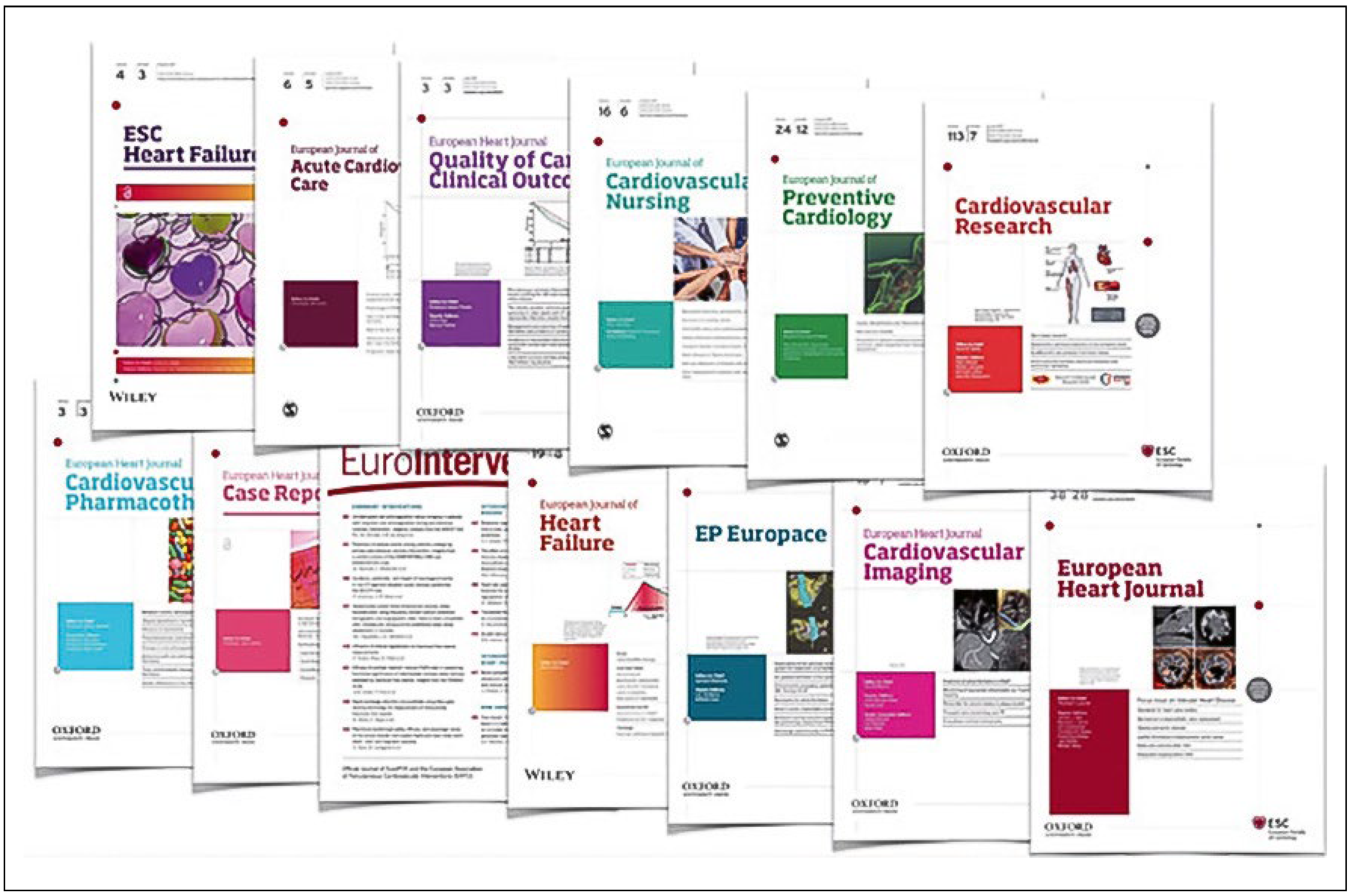 Cardiovascmed 21 00303 g004