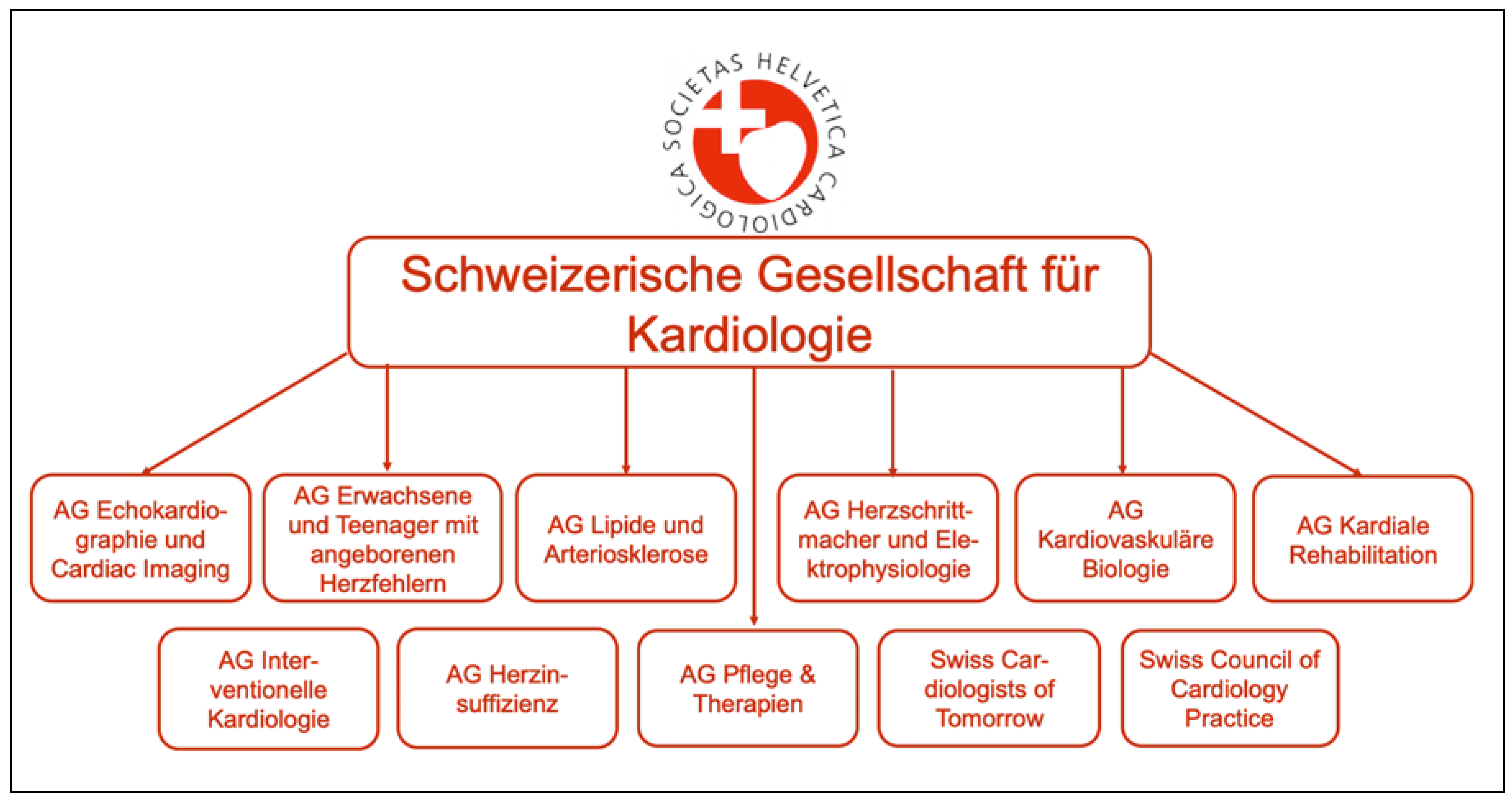 Cardiovascmed 21 00303 g005