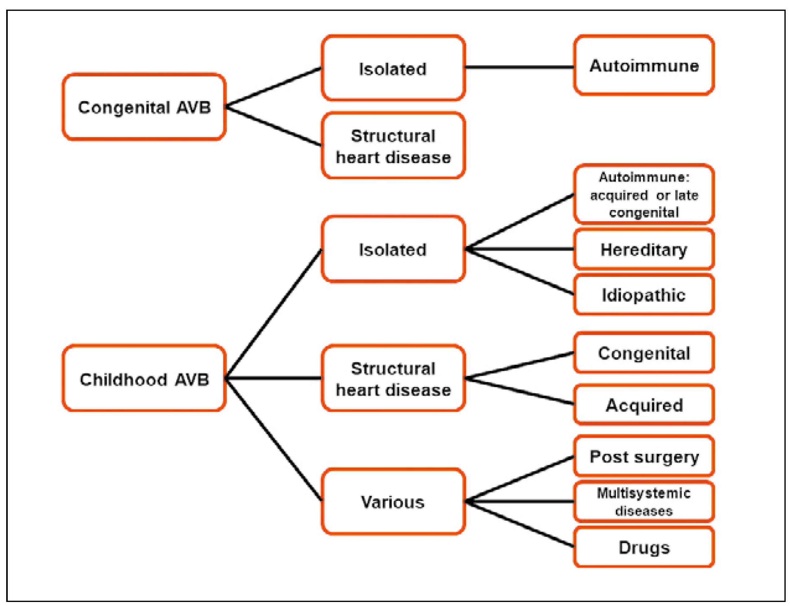 Cardiovascmed 21 00322 g004
