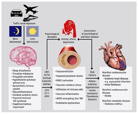 Cardiovascmed 24 00225 g003