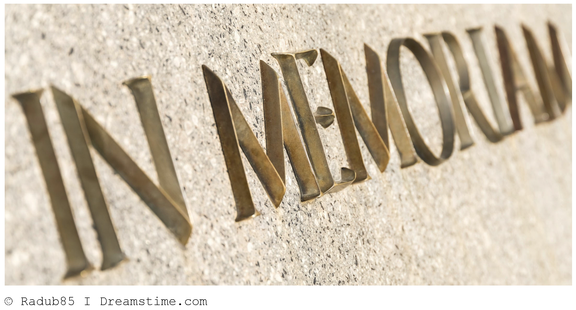 Cardiovascmed 26 00144 i001 Cardiovascmed 26 00144 i001