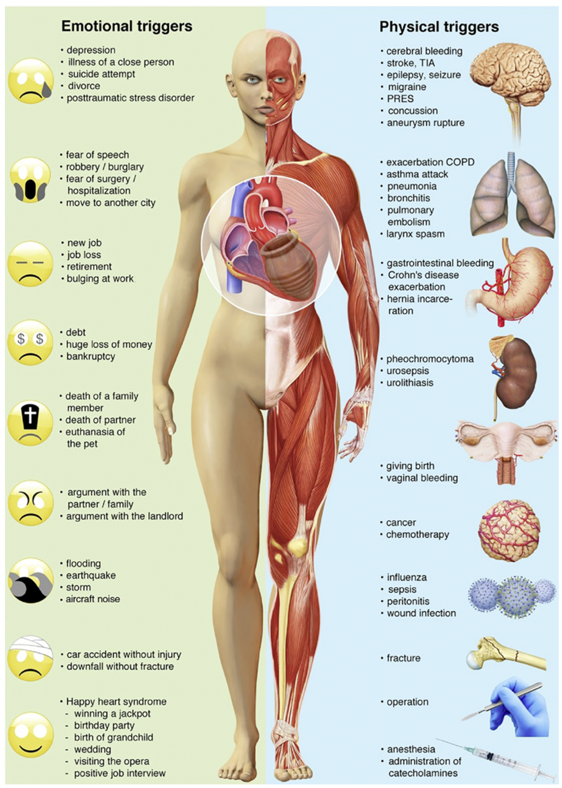 Cardiovascmed 26 00160 g001