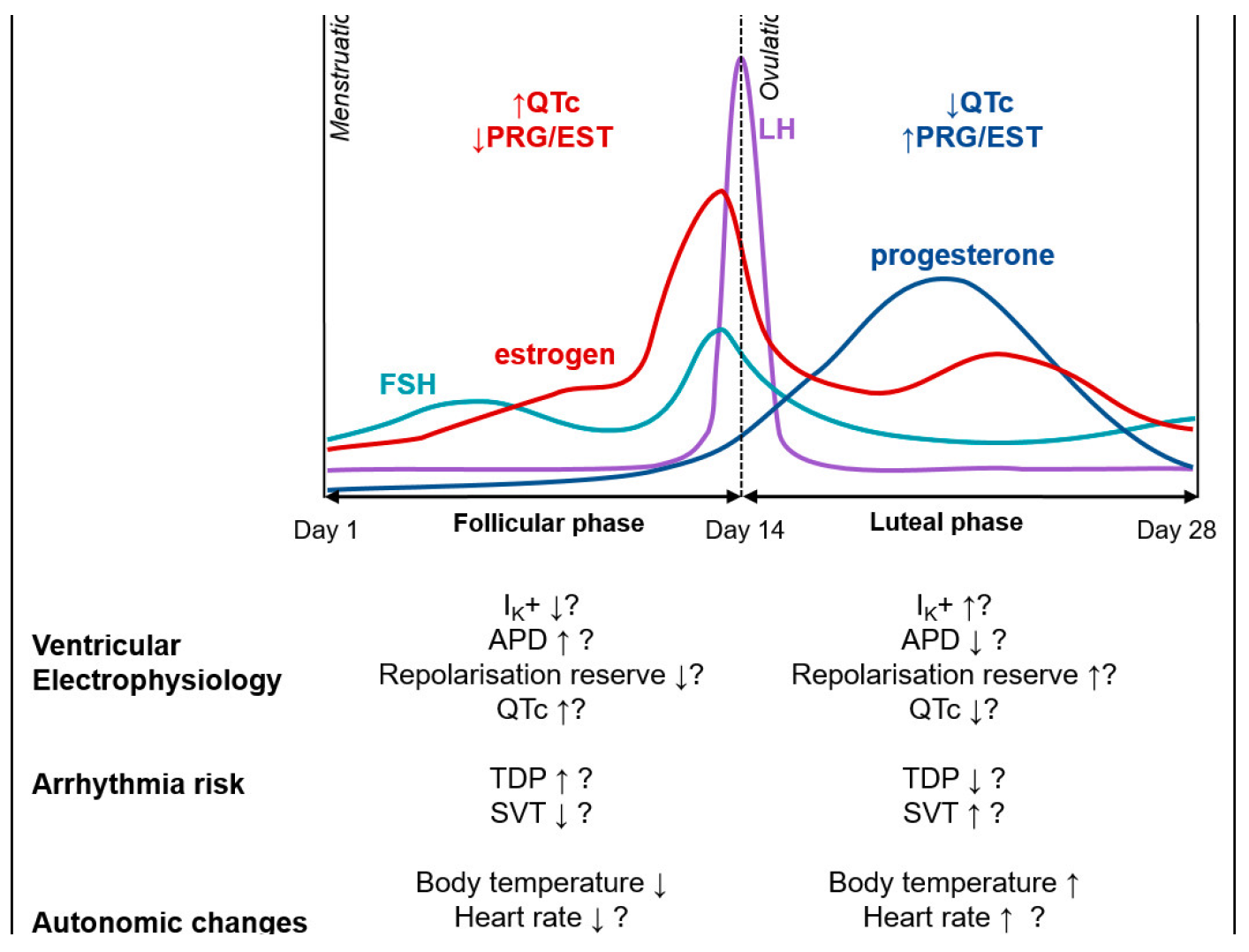 Cardiovascmed 26 00698 g003
