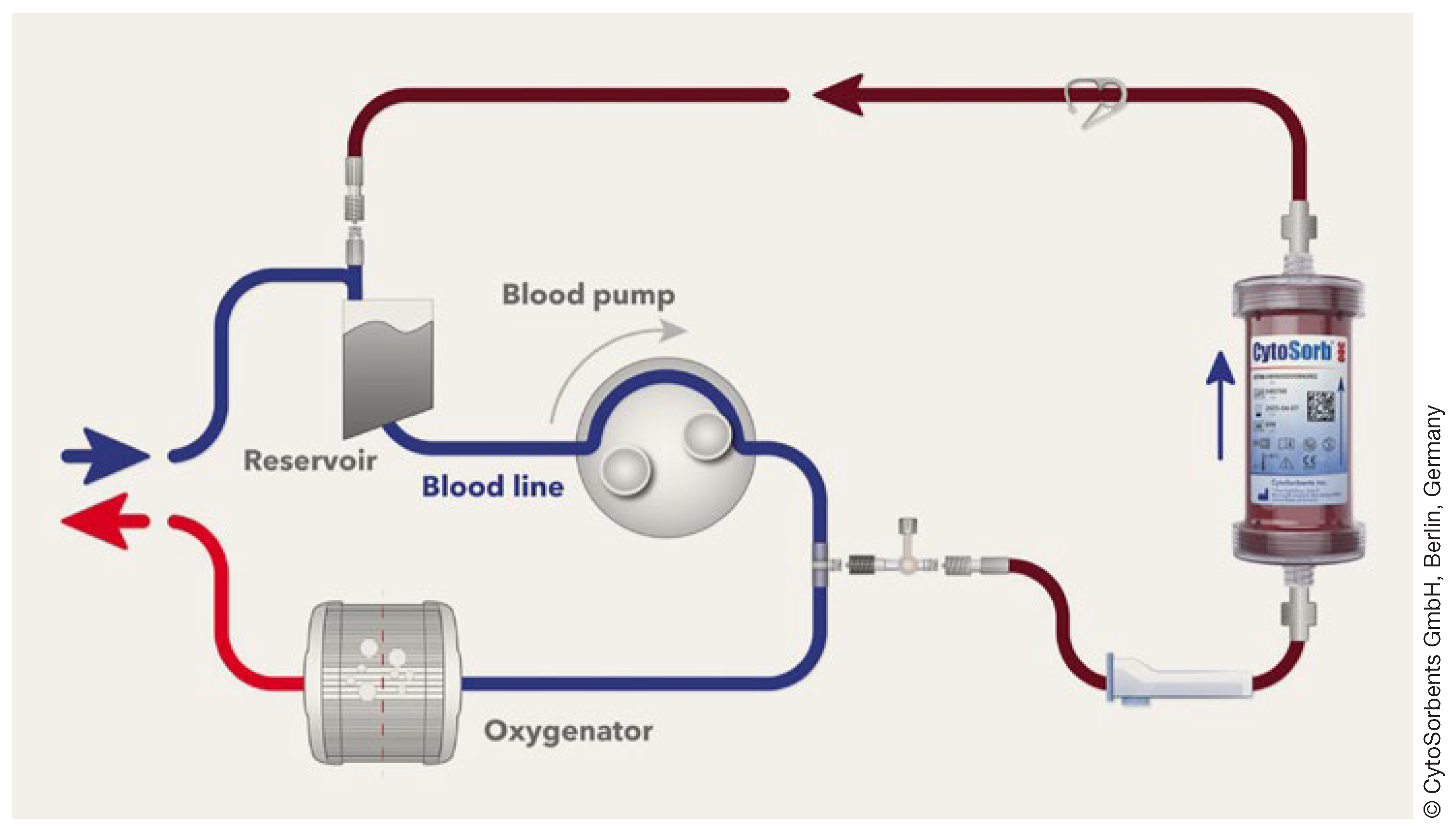 Cardiovascmed 27 00108 g001