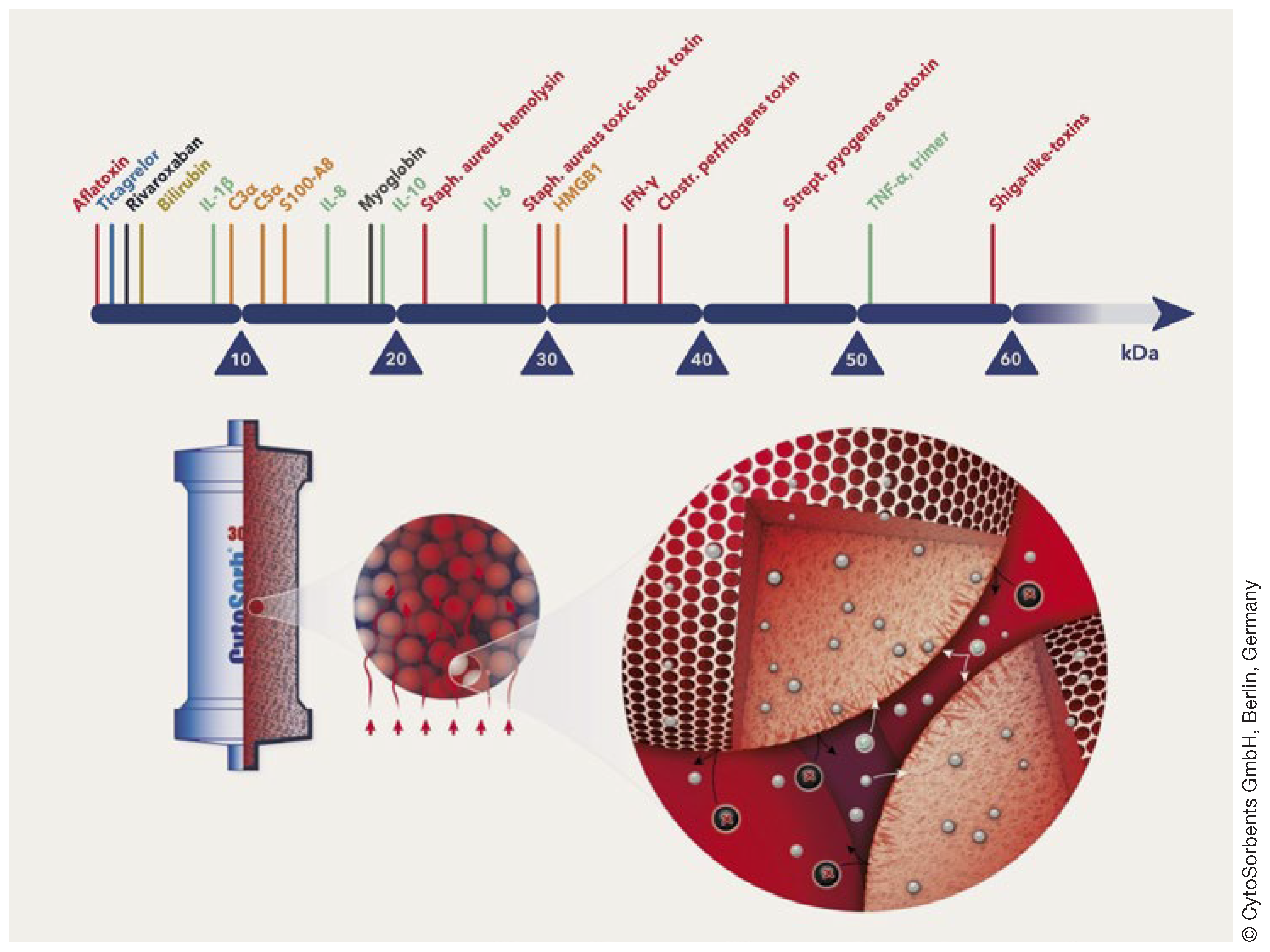 Cardiovascmed 27 00108 g002