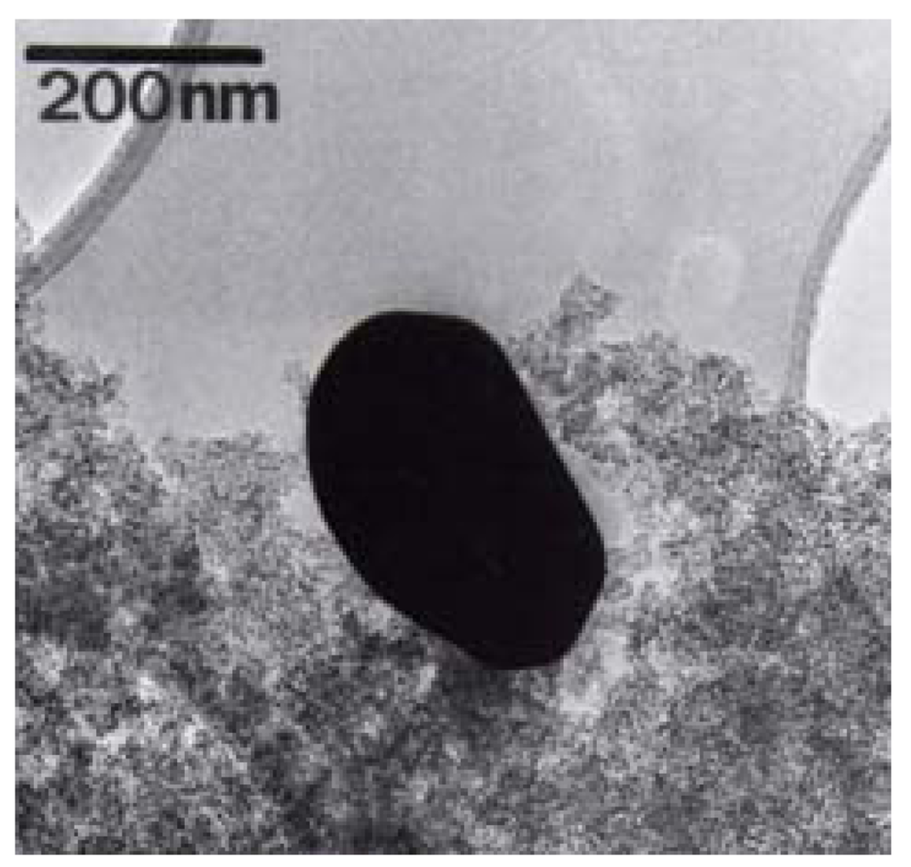 Catalysts 02 00024 g001 1024