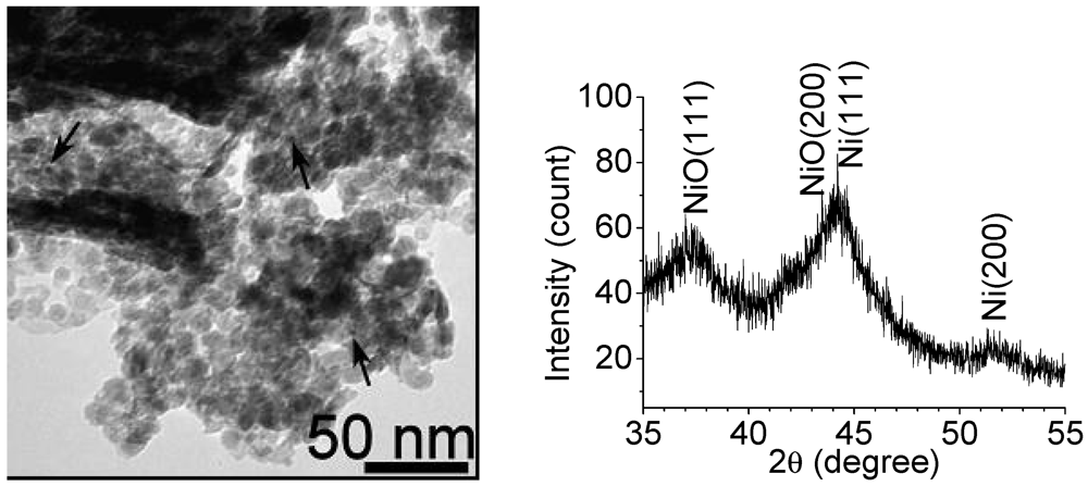 Catalysts 02 00068 g003 1024